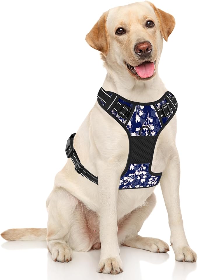 Rnivvi No Pull Dog Harness, Cute Flower Reflective Medium Sized Puppy Harness, Adjustable Soft Padded Vest for Medium Dogs, Heavy Duty Pet Vest with Easy Control Handle for Walking, Blue White