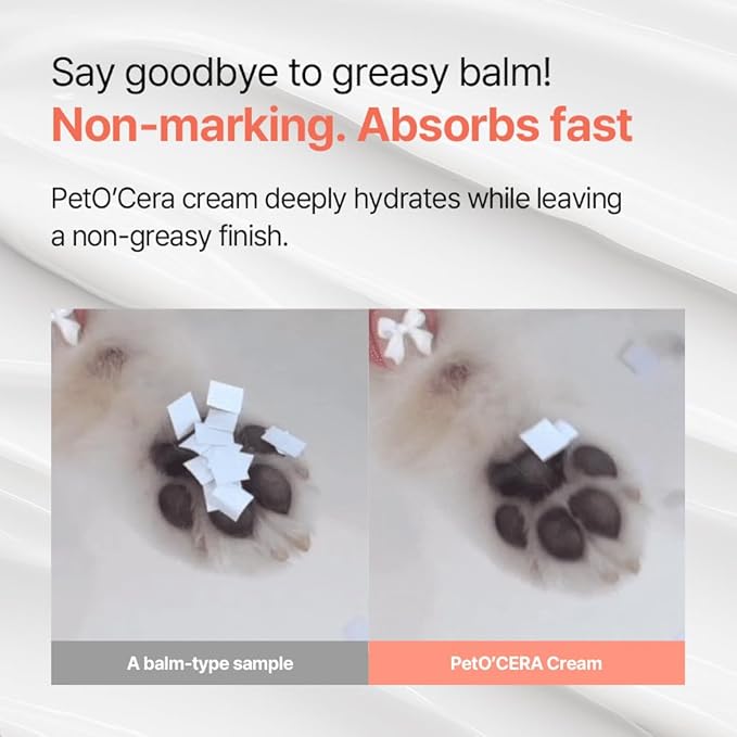 Breezytail PetO'Cera Expert Derma Care - Cream for Dogs | Ceramide Infused Skin Treatment | Moisturizes & Heals Rash, Hop Spots, Cracked Paws, Dry Irritated Skin | Hypoallergenic Daily Lotion 1.70o