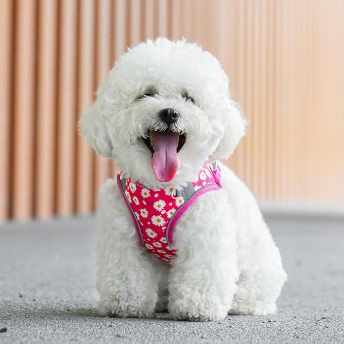 Step in Dog Harness and Leash Set, Flower Adjustable Easy Walk Puppy Harnesses, Soft Mesh Pet Vest Harness Small Size Dog Adjustable No Pull Dog Harness for Small Dogs and Cats(Rose red, XS)