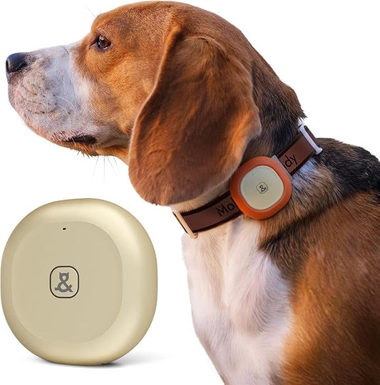 Molly&Cody GPS Dog/Cat Tracker, Multi-Mode GPS/Bluetooth, Real-Time Tracking for Pet Collar with Virtual Fence, Long Battery, IP67 Waterproof, Health Monitor, 1-Year Record, iOS/Android App (Gold)