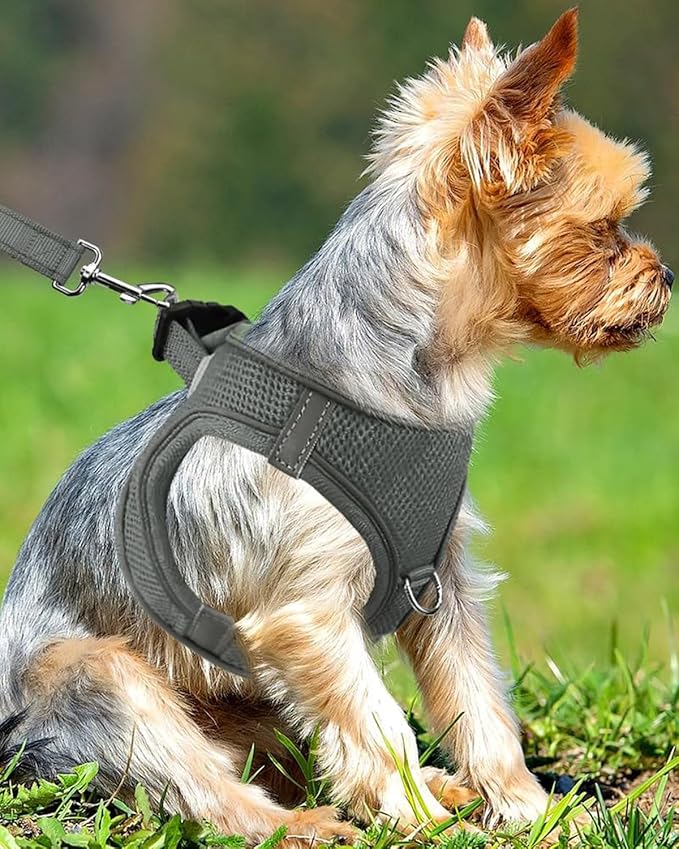 Joytale Small Dog Harness, Breathable Mesh Step-in Vest, Reflective Soft Padded Harnesses Small Sized Dog for Walking, Gray, S