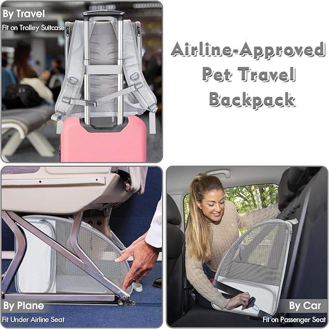 Cat Backpack Carrier, Large Pet Carrier Backpack with Kitten Wand Feather Toy for Medium Small Dog Cat Puppy Kitty Bunny up to 15lbs, Ventilated Mesh Kitten Bookbag for Travel Walking Outdoor (Grey)