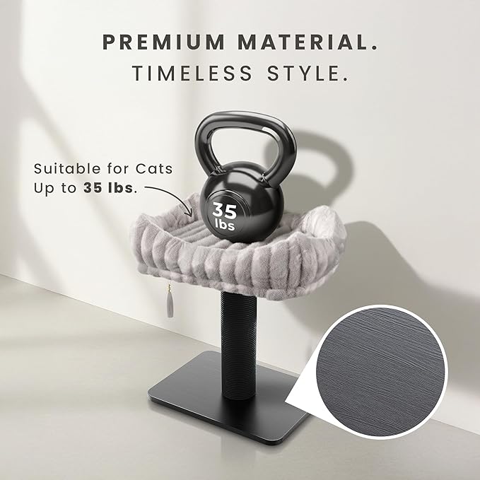 Modern Scratching Post for Indoor Cats - 15” High Cat Scratching Post with Bed Breeds - 15.7” x 11.6” Removable & Washable Cushion (Black Post with Gray Bed)