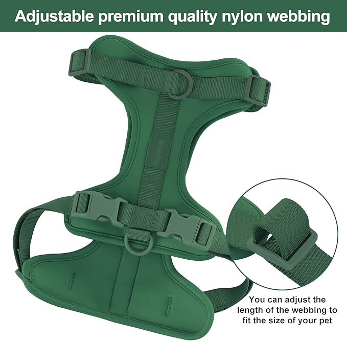 No Pull Lightweight Dog Harness: Adjustable Durable Breathable Mesh Pet Vest Harness with Soft & Comfortable Cushion, for Small Medium Large Dogs (XS, Pine Green)