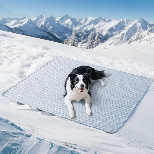 Soulbond Cooling Mat for Extra Large Dogs - 60"x80" Washable Cooling Pad for Puppy, QMAX>0.3, Anti-Slip Bottom, Portable Summer Pet Cool Kennel Bed Pad for Outdoor/Indoor/Cars/Travel Use, Light Blue