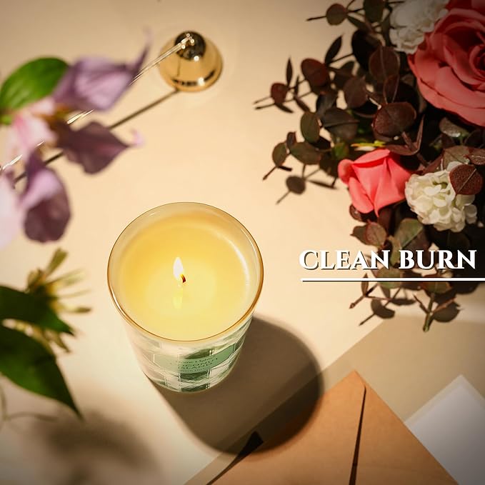 HomeLights 1-Wick Candles for Home Scented - 6.7oz Soy Wax Blend Candle Long-Lasting Fragrance, Scandinavian Minimalist Design Home Decor and Housewarming Gifts, Coconut Island