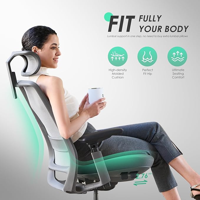 COLAMY Ergonomic Office Chair, High Back Computer Executive Desk Chair with Lumbar Support, Adjustable Headrest and 4D Arms, Slide Seat-BlackGrey