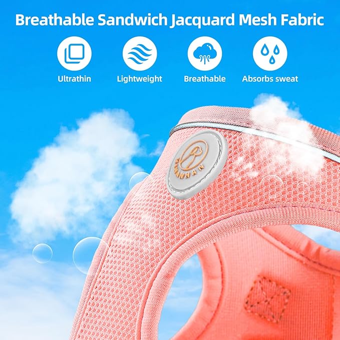 Soft Mesh Dog Harness and Leash Set, No Pull Puppy Harness and Leash Set, Reflective Step in Harness for Small Medium Dogs, Easy Walk Escape Proof Vest Harnesses (Pink, S)