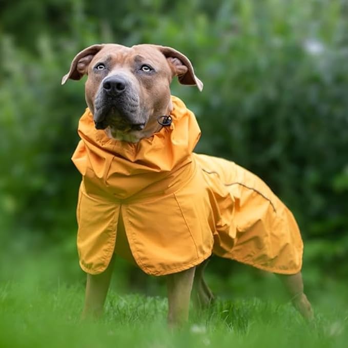 Spark Paws Dog Raincoat, Waterproof Windproof Rain Jacket, for Small Medium Large Extra Large Dogs, Reflective Breathable Full-Body Coverage Dry Suit - Mustard Yellow - 4XL