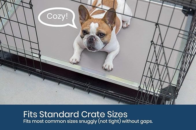 K9 Ballistics Chew Proof Elevated Cooling Dog Bed - Made for Aggressive Chewers, Virtually Indestructible, Ripstop Fabric with No Padding, Pre-Assembled - Small, Blue Quartz