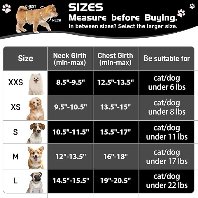 Soft Mesh Dog Harness and Leash Set, No Pull Puppy Harness and Leash Set, Reflective Step in Harness for Small Medium Dogs, Easy Walk Escape Proof Vest Harnesses (Black, M)