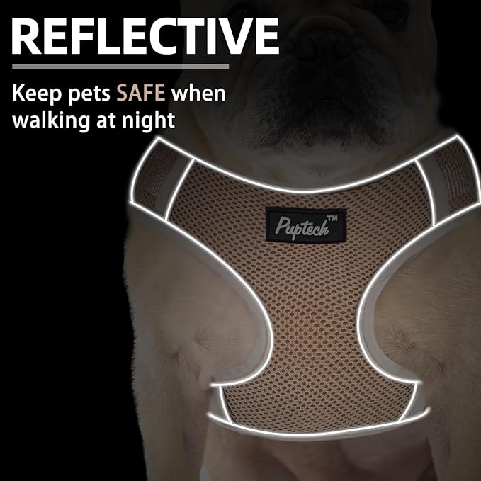 PUPTECK Small Dog Harness and Leash Set, No Pull Adjustable Puppy Cat Harness, Reflective Soft Mesh Pet Vest Small Sized