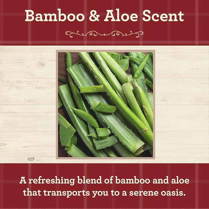 Our Own Candle Company, Bamboo & Aloe Scented Mason Jar Candle, 100 Hour Burn Time, 13 Ounces