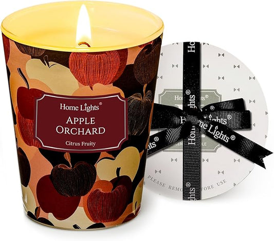 HomeLights Soy Wax Candles for Home Scented, 1-Wick Candles in Apple Orchard Scented, Aromatherapy Candles Gift for Parties, Relaxing, Eclectic Mixed Styles, 6.7oz
