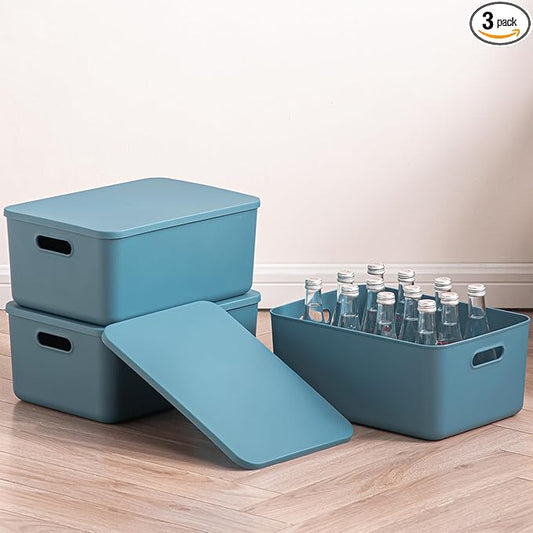 Plastic Storage Bins with lids,Storage Baskets,Container with handle,Storage Organizer Bins for Shelves,Office,Bedrooms,Closets, Cabinets(Blue, 3M)
