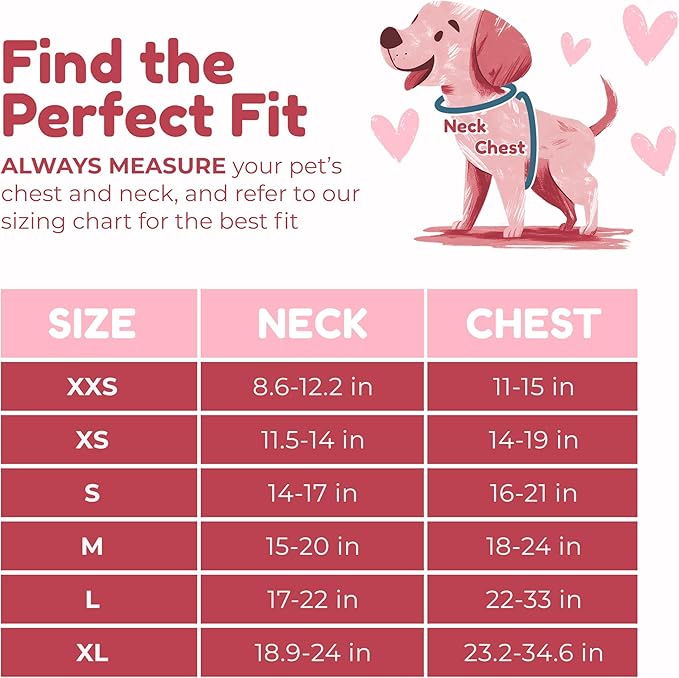 No Pull Puppy Harness and Leash Set – No Choke Neoprene Dog Harness for Extra Small Dogs (5–15lbs) Pink XS, Lightweight Breathable Mesh with Unique Heart Pattern, Adjustable Fit