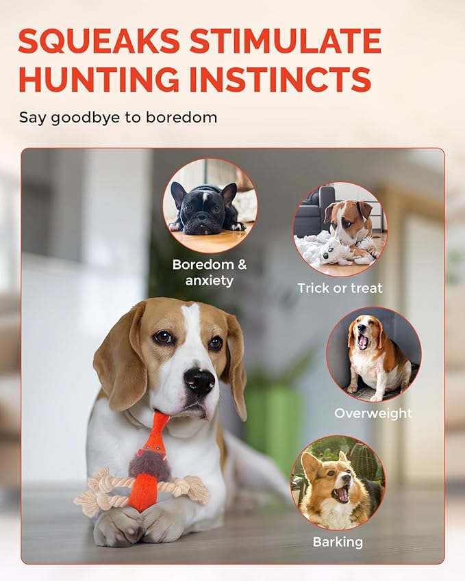 Squeaky Dog Toys for Medium Dogs - Durable Dog Toys for Aggressive Chewers to Keep Them Busy - Interactive Plush Chew Toy with Squeaker for Training Reward & Gift - Orange