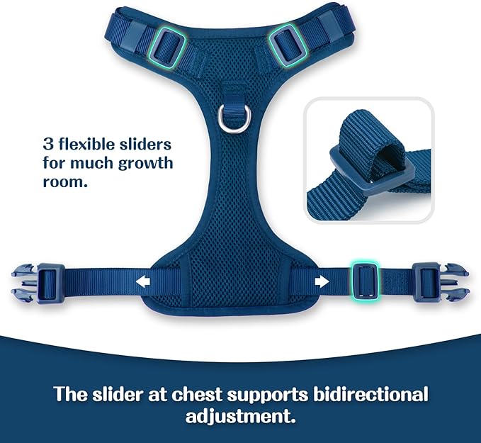 No Pull Dog Harness for Small Medium Large Dogs - Adjustable Two-Layer Mesh Dog Vest with Dual Clip, Escape Proof, Quick Release, Lightweight Breathable Mesh for Walking Hiking (Prussian Blue,XL)