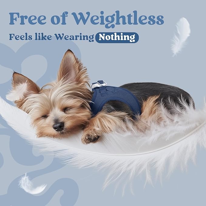 rabbitgoo Small Dog Harness, Step-in Soft Mesh Puppy Vest with Safety Buckle, Breathable Reflective Pet Harness for Extra Small Dogs, Navy Blue XXS
