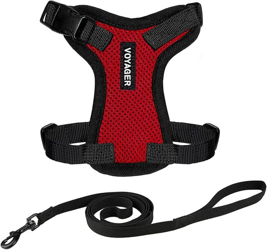 Voyager Step-in Lock Adjustable Cat Harness w. Cat Leash Combo Set with Neoprene Handle 5ft - Supports Small, Medium and Large Breed Cats by Best Pet Supplies - Red/Black Trim, XXS