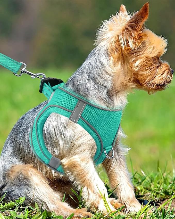 Joytale Small Dog Harness, Breathable Mesh Step-in Vest, Reflective Soft Padded Harnesses Small Sized Dog for Walking, Teal, S