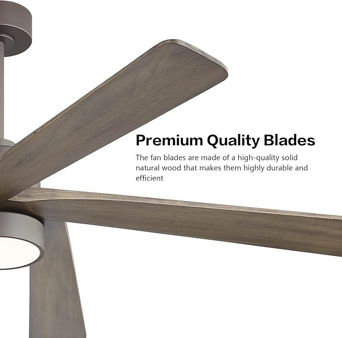 WINGBO 64 Inch DC Ceiling Fan with Lights and Remote Control, 5 Reversible Carved Wood Blades, 6-Speed Noiseless DC Motor, Modern Ceiling Fan in Graphite Finish with Gray Blades, ETL Listed