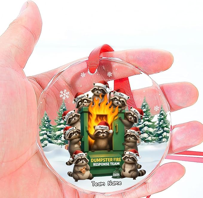 NAZENTI Personalized Funny Raccoon Chaos Response Ornament, Custom Flaming Bin Holiday Decoration, Coworker Christmas Glass Hanging Gift