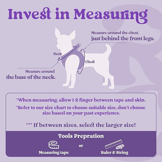rabbitgoo Small Dog Harness, Step-in Soft Mesh Puppy Vest with Safety Buckle, Breathable Reflective Pet Harness for Small Medium Dogs, Purple XL