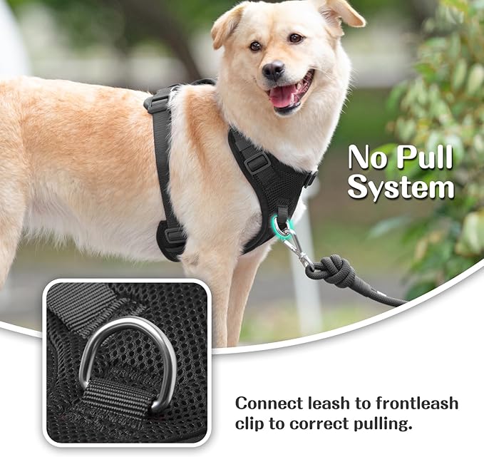 No Pull Dog Harness for Small Medium Large Dogs - Adjustable Two-Layer Mesh Dog Vest with Dual Clip, Escape Proof, Quick Release, Lightweight Breathable Mesh for Walking Hiking (Black,S)