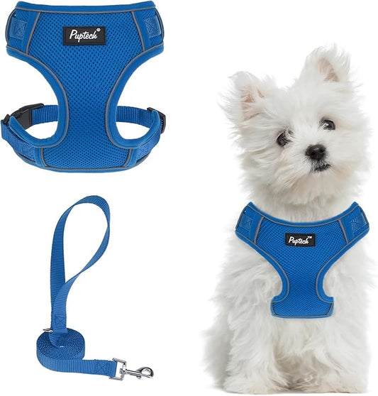 PUPTECK Small Dog Harness and Leash Set, No Pull Adjustable Puppy Cat Harness, Reflective Soft Mesh Pet Vest Small Sized