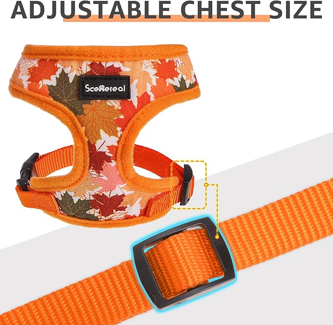 SCENEREAL Fall Dog Harness Collar and Leash Set for Small Dogs, Orange Leaf No Pull Dog Harnesses, Adjustable Step in Pet Vest for Doggie Puppy Cats Walking Outdoor, Chihuahua Yorkie Harness S