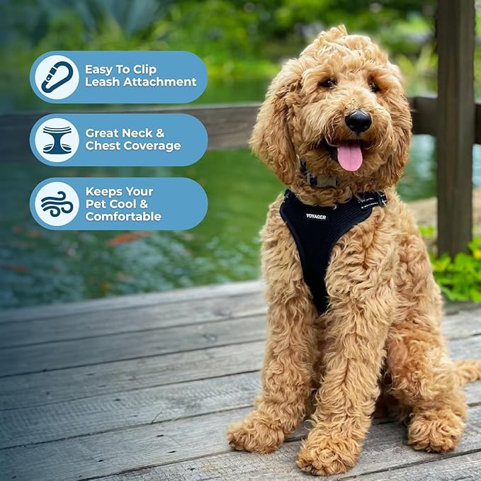 Best Pet Supplies Voyager Adjustable Dog Vest Harness Breathable No Pull Harness for Small, Medium, Large Dogs, Heavy Duty Harness for Walking, Jogging, Easy Step-in, Reflective Stripes - (Black), L