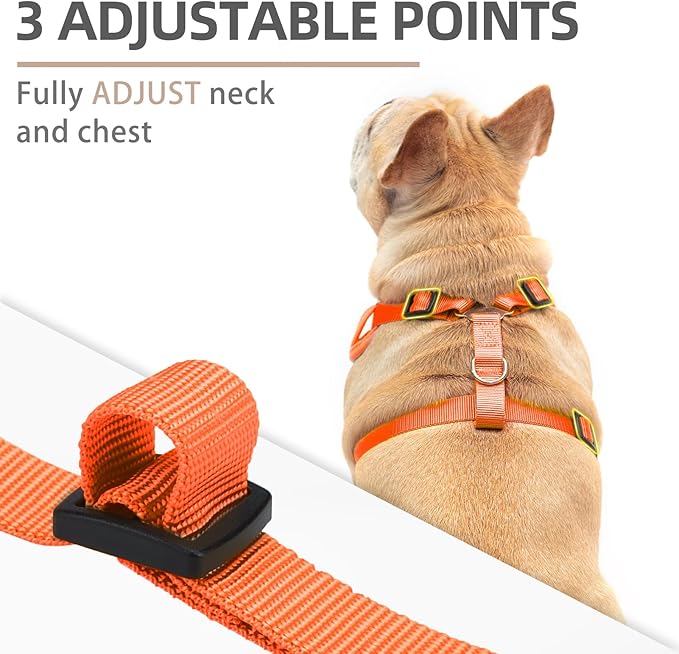PUPTECK Small Dog Harness and Leash Set, No Pull Adjustable Puppy Cat Harness, Reflective Soft Mesh Pet Vest Small Sized