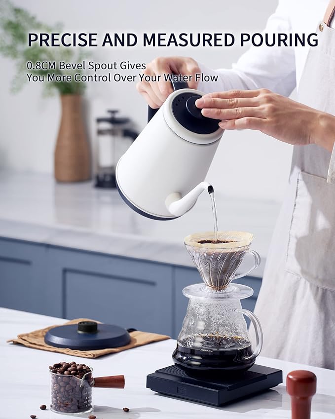 DmofwHi Gooseneck Electric Kettle(1.0L),1000W Electric Tea Kettle of 304 Stainless Steel,Auto Shut off,Coffee Kettle for Pour Over and Tea -White