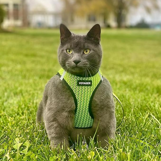Best Pet Supplies Voyager Step-in Air Harness - All Weather Mesh, Reflective, No Pull Harness for Dogs, Cats - Secure with Hook & Loop Fastener, Buckle, Double D-Rings - Tone, S