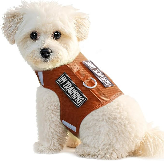 Dog Harness for Puppy – Adjustable Reflective Easy Put On Soft Mesh Vest for Small Dogs with 2 Patches (Carmel Brown,S)