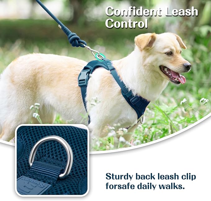 No Pull Dog Harness for Small Medium Large Dogs - Adjustable Two-Layer Mesh Dog Vest with Dual Clip, Escape Proof, Quick Release, Lightweight Breathable Mesh for Walking Hiking (Prussian Blue,XL)