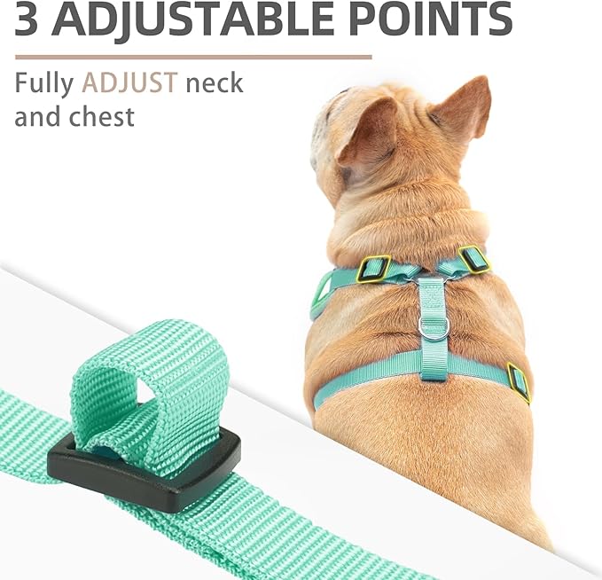 PUPTECK Small Dog Harness and Leash Set, No Pull Adjustable Puppy Cat Harness, Reflective Soft Mesh Pet Vest Small Sized
