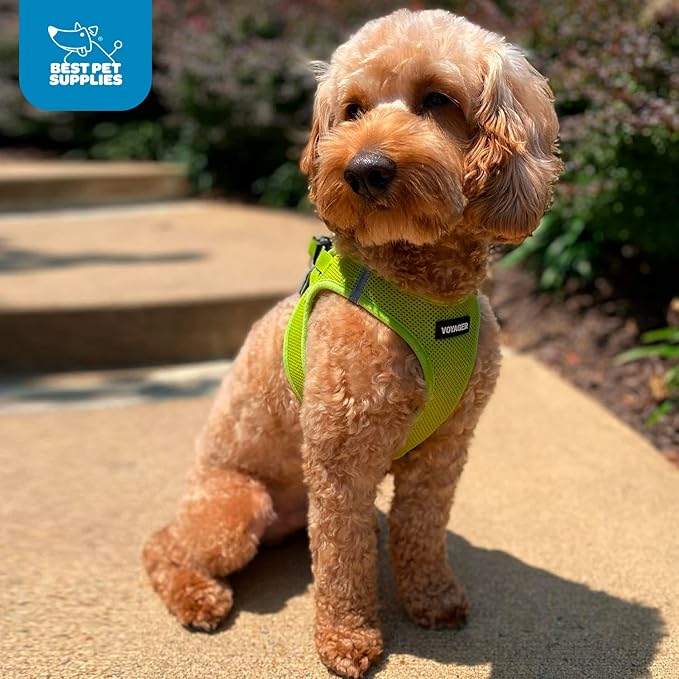 Best Pet Supplies Voyager Step-in Air Harness - All Weather Mesh, Reflective, No Pull Harness for Dogs, Cats - Secure with Hook & Loop Fastener, Buckle, Double D-Rings - Lime Green, XL