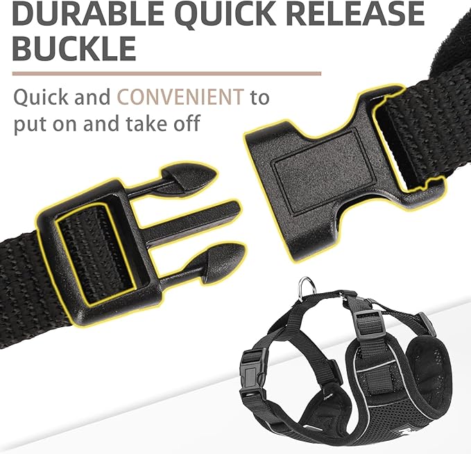 PUPTECK Small Dog Harness and Leash Set, No Pull Adjustable Puppy Cat Harness, Reflective Soft Mesh Pet Vest Small Sized