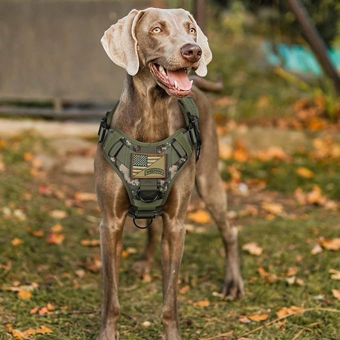 rabbitgoo Tactical Dog Harness Medium Sized, Heavy Duty Pet Harness with Handle, No-Pull Service Vest Medium Breed, Adjustable Military Dog Vest for Training Hunting Walking, Green Camo, M