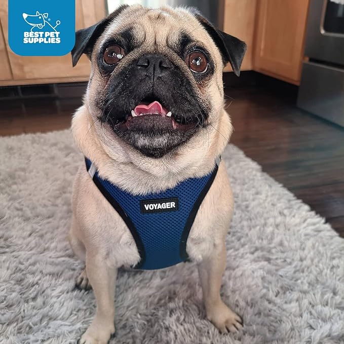 Best Pet Supplies Voyager Step-in Air Harness - All Weather Mesh, Reflective, No Pull Harness for Dogs, Cats - Secure with Hook & Loop Fastener, Buckle, Double D-Rings - Royal Blue/Black Trim, XS