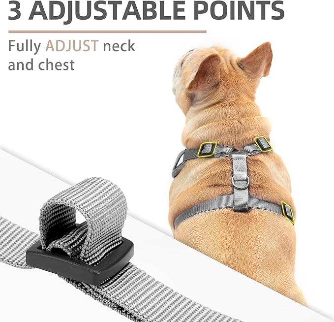 PUPTECK Small Dog Harness and Leash Set, No Pull Adjustable Puppy Cat Harness, Reflective Soft Mesh Pet Vest Medium Sized