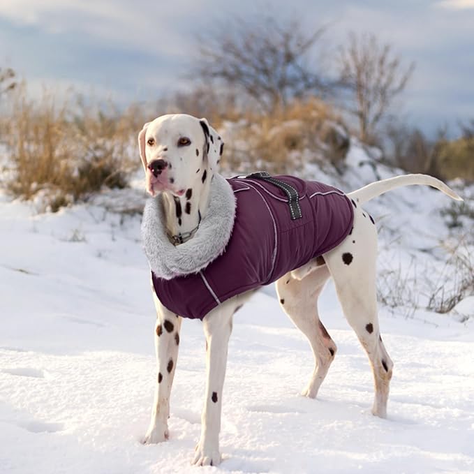 Lelepet Warm Dog Coat Reflective Fleece Vest Waterproof Dog Jacket with Adjustable Buckle Hook & Loop Windproof Cold Weather Coats for Small Medium Large Dogs, Dark Purple, M