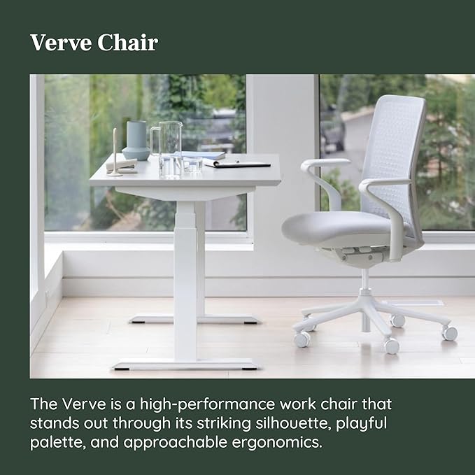 Branch Verve Chair - High Performance Executive Office Chair with Contoured Seat Back and Adjustable Lumbar Rest - High Density Foam Cushion with Aluminum Base - Up to 275 lbs - Mist