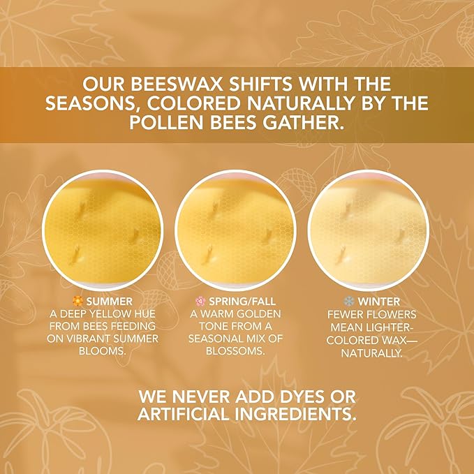 Toasty Pumpkin Brulee - Sweet Pumpkin & Vanilla with Earthy Nutmeg & Cardamom - Perfect Cozy for Fall - Pure Beeswax Candles - 90+ Hours Long Burning - Non-Toxic for Autumn Home Decor - 15 OZ