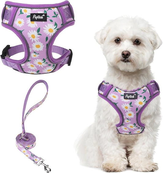 PUPTECK Small Dog Harness and Leash Set, No Pull Adjustable Puppy Cat Harness, Reflective Soft Mesh Pet Vest Small Sized