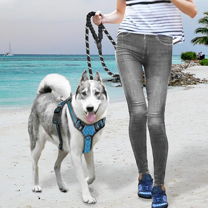 BARKBAY No Pull Dog Harness Large Reflective Dog Harness with Front Clip and Easy Control Handle for Walking Training Running with ID tag Pocket(Blue/Black,S)