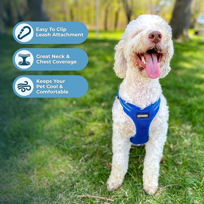 Best Pet Supplies Voyager Adjustable Dog Vest Harness Breathable No Pull Harness for Small, Medium, Large Dogs, Harness for Walking, Jogging, Easy Step-In, Reflective Stripes - Royal Blue, S