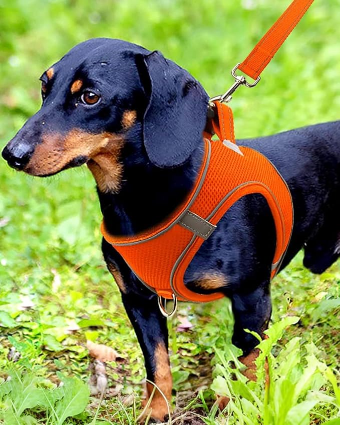 Joytale Small Dog Harness, Breathable Mesh Step-in Vest, Reflective Soft Padded Harnesses for Small and Medium Dogs, Orange, M